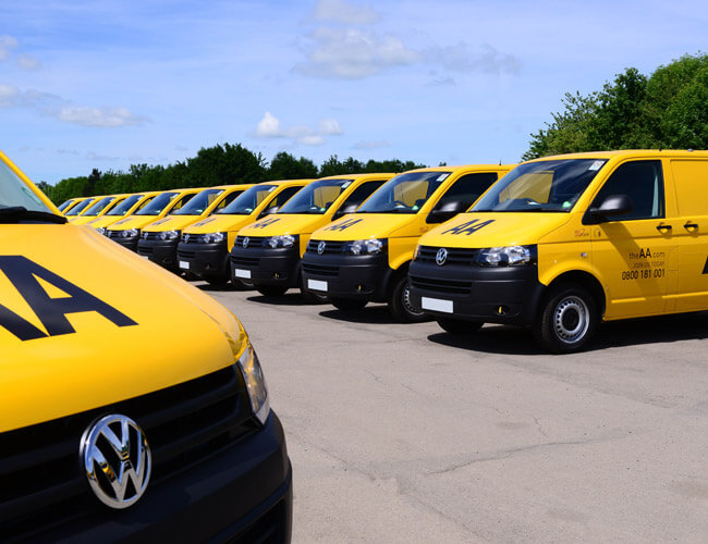 Looking for the perfect car?